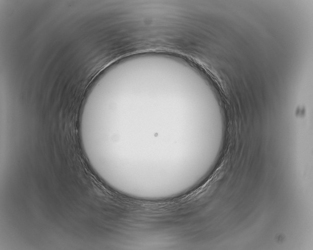 X0000096481265200801241138