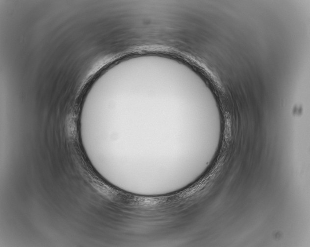 X0000096481266200801241138