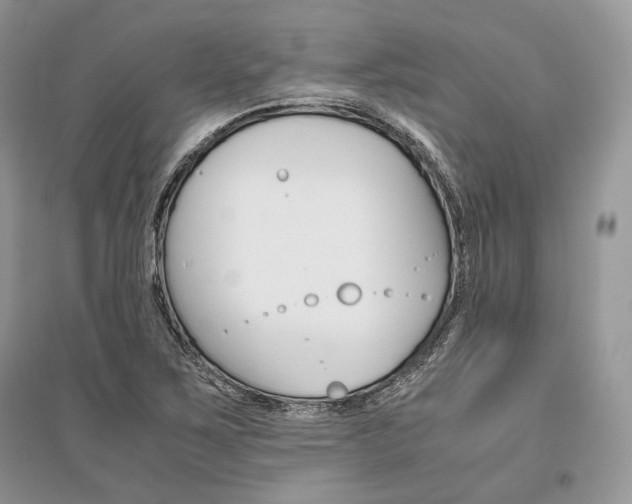 X0000096481267200801241138