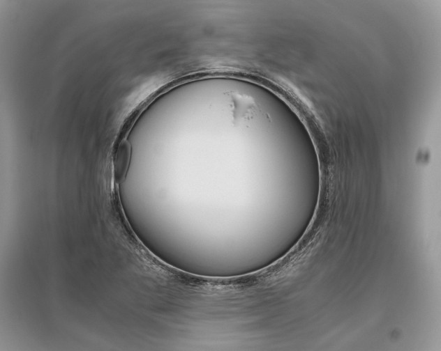 X0000096481269200801241138
