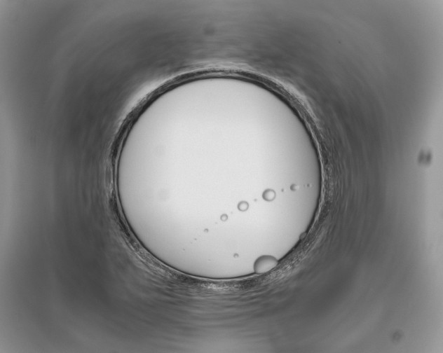 X0000096481271200801241138