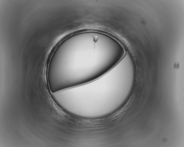 X0000096481272200801241138