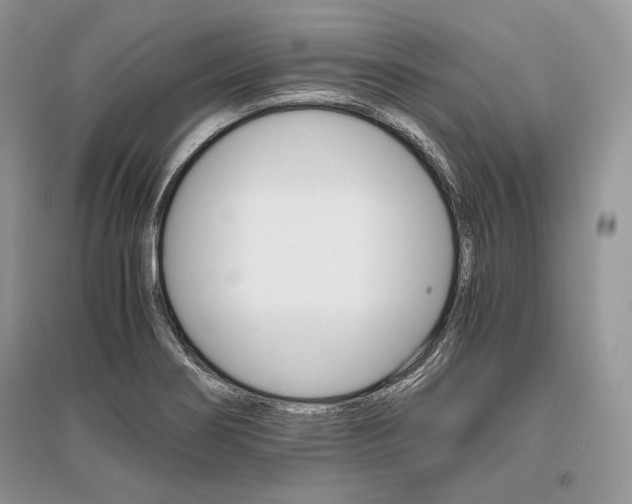 X0000096481274200801241138