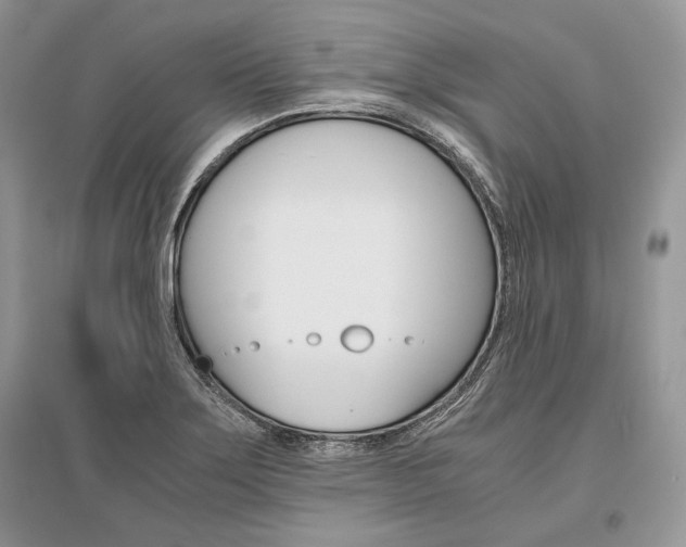 X0000096481275200801241138