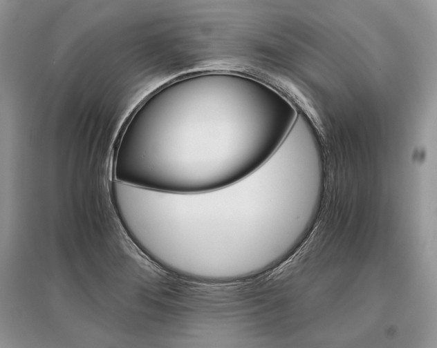 X0000096481276200801241138