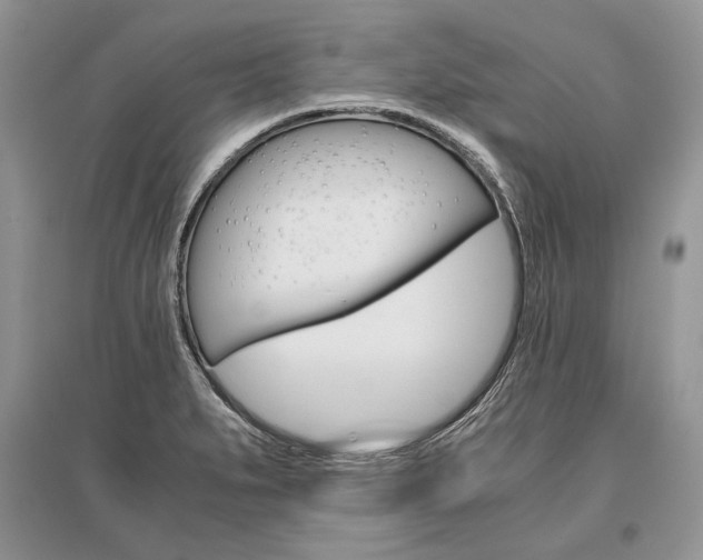 X0000096481279200801241138