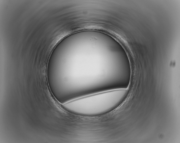 X0000096481281200801241138