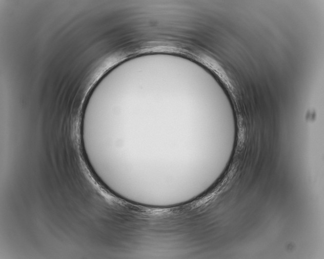 X0000096481282200801241138
