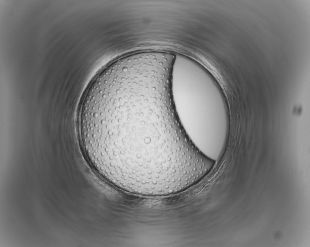 X0000096481283200801241138