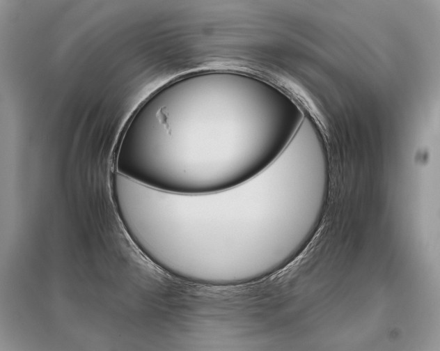 X0000096481284200801241138