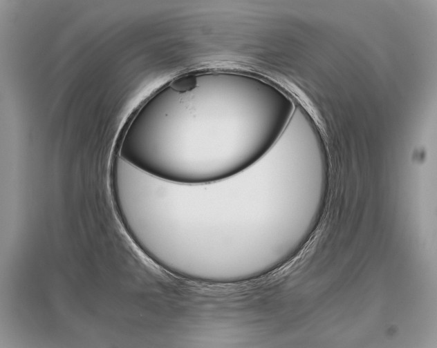 X0000096481285200801241138