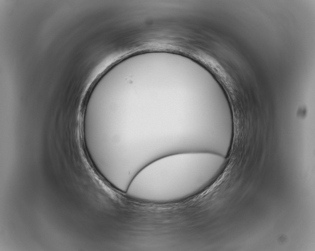 X0000096481286200801241138
