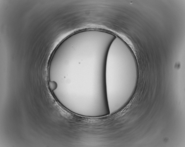 X0000096481287200801241138