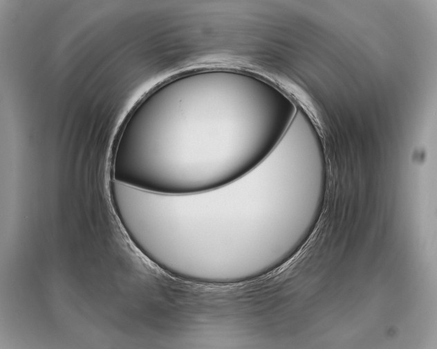 X0000096481288200801241138