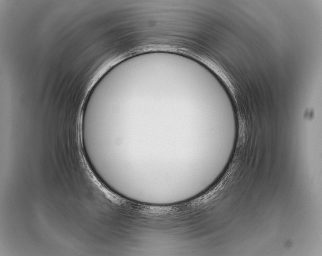 X0000096481290200801241138