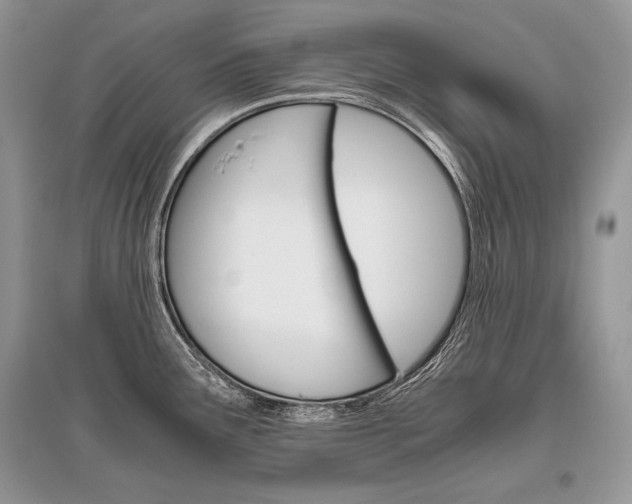 X0000096481291200801241138