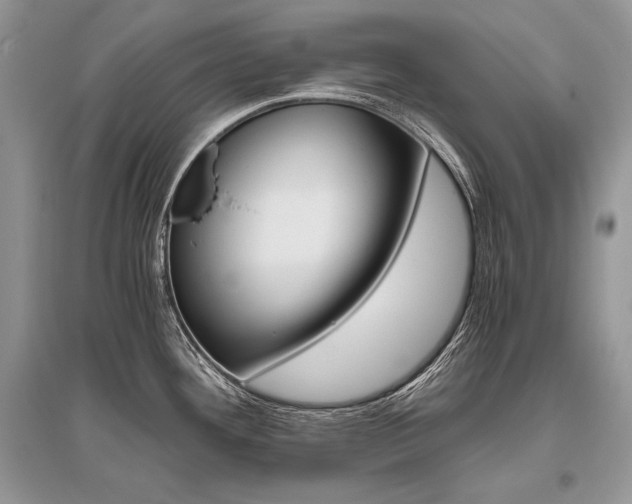 X0000096481292200801241138