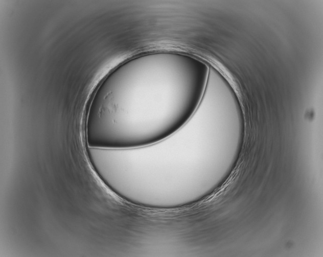 X0000096481293200801241138