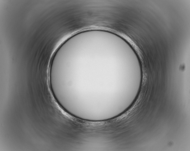 X0000096481294200801241138