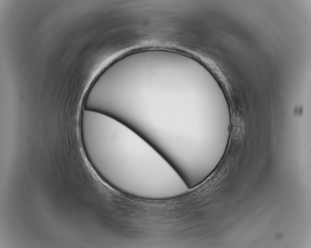 X0000096481295200801241138