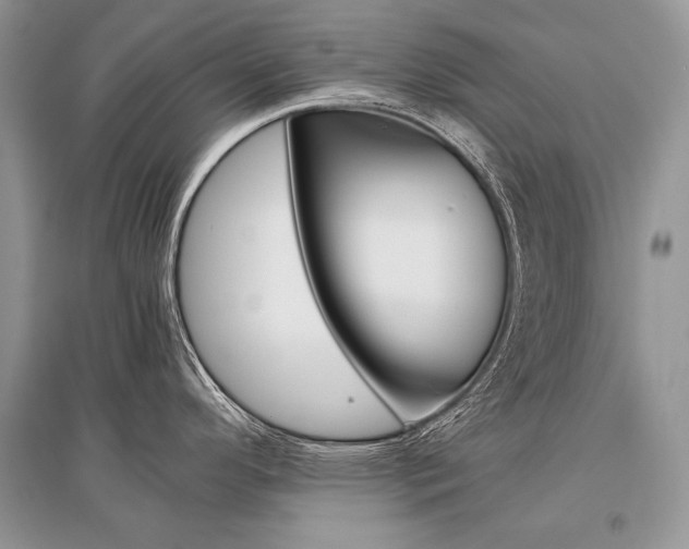 X0000096481296200801241138
