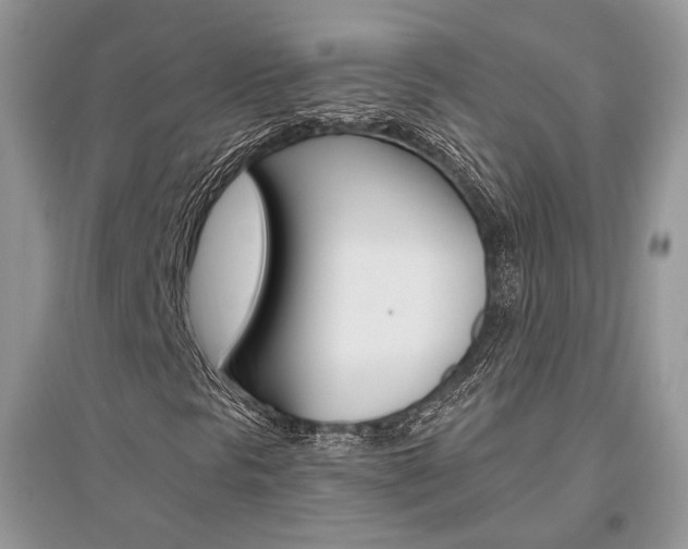 X0000096481297200801241137