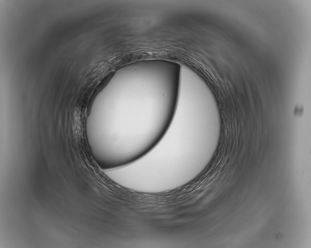 X0000096481298200801241137