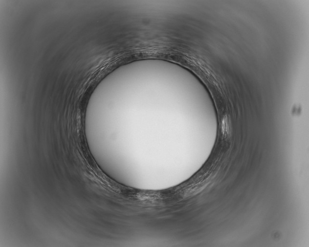 X0000096481299200801241137