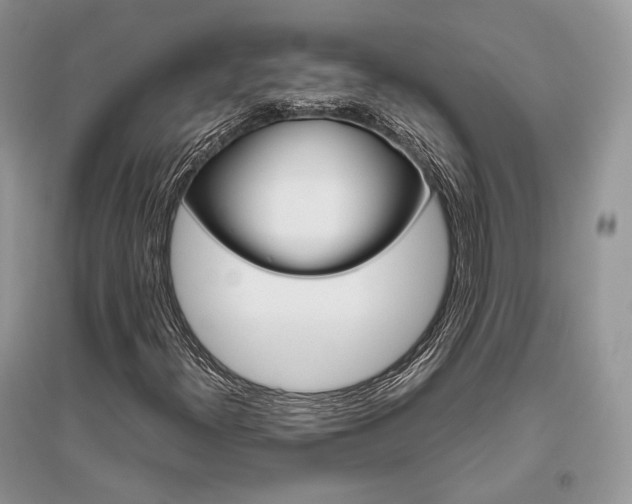 X0000096481300200801241137