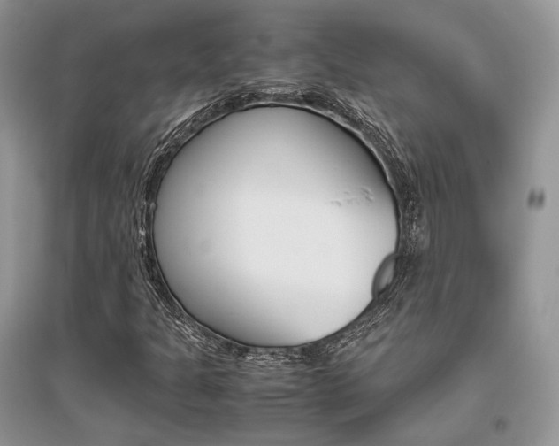 X0000096481301200801241137