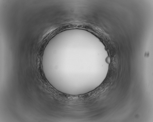 X0000096481302200801241137