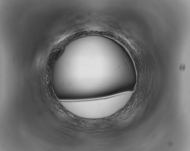 X0000096481303200801241137