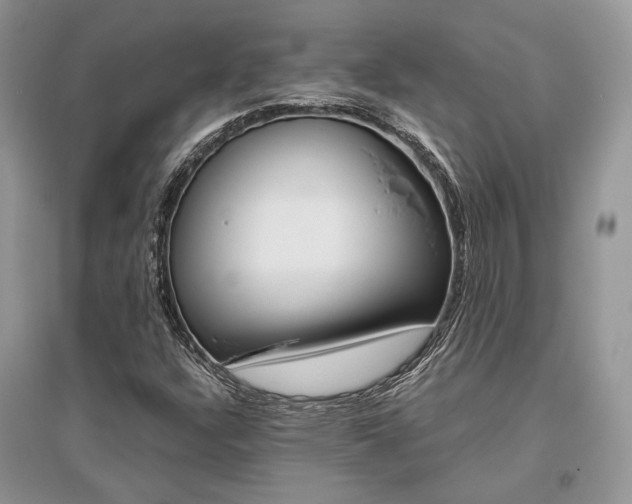 X0000096481304200801241137