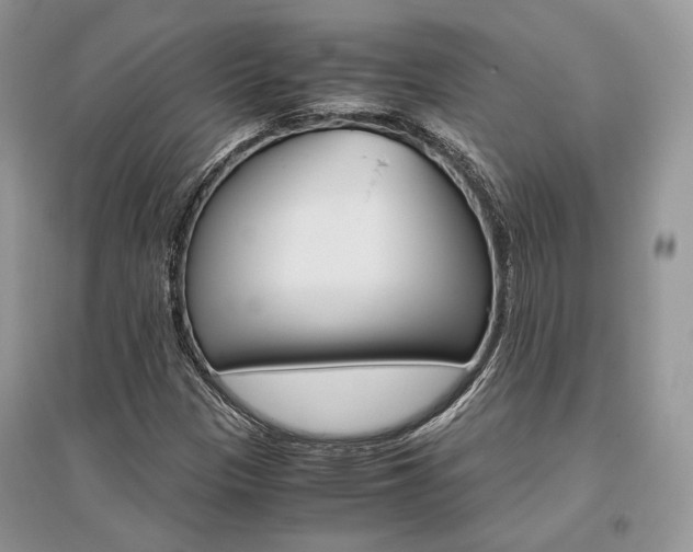 X0000096481305200801241137