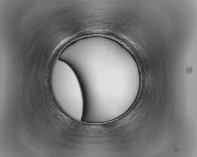 X0000096481306200801241137