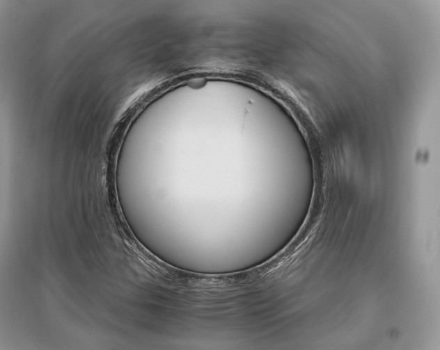 X0000096481307200801241137