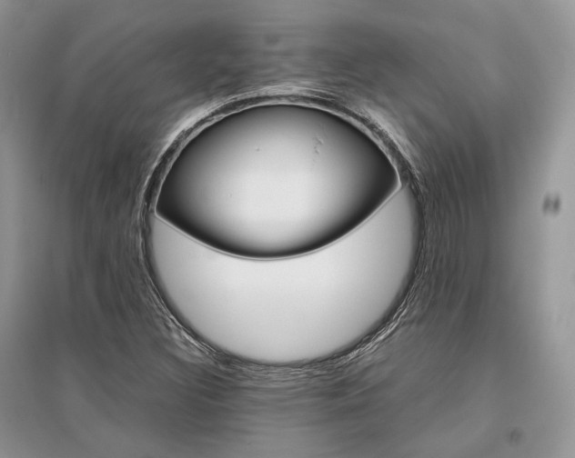 X0000096481308200801241137