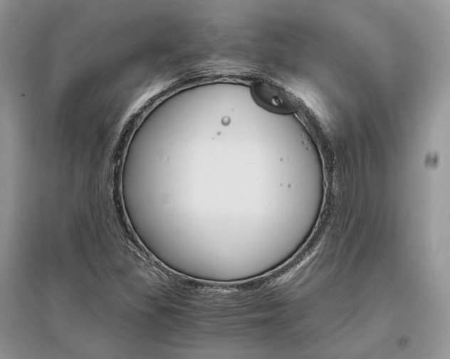 X0000096481309200801241137