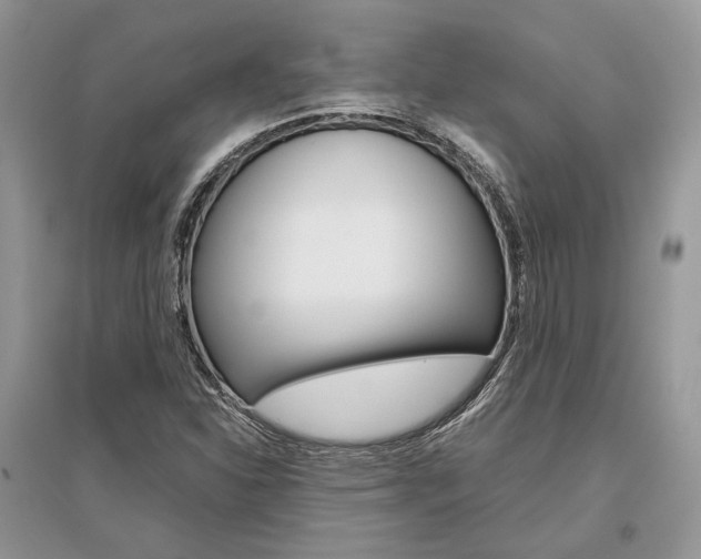 X0000096481310200801241138