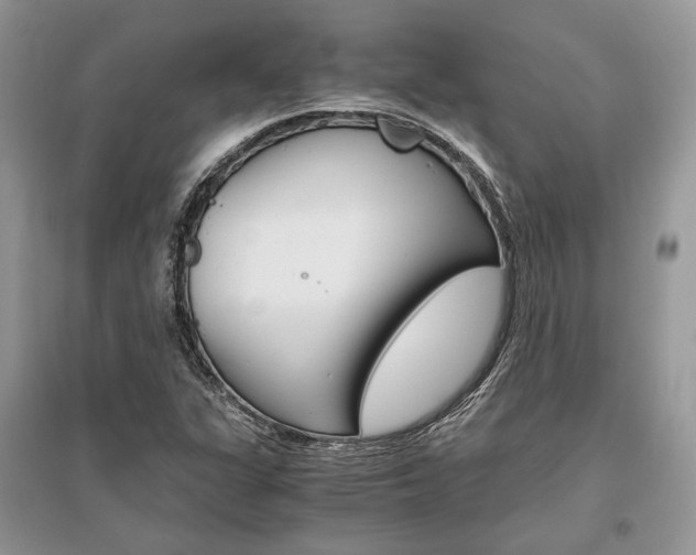 X0000096481311200801241138