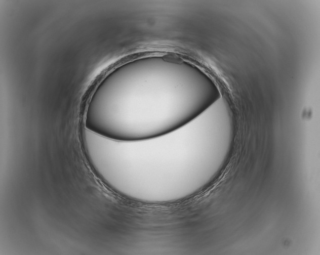 X0000096481312200801241138