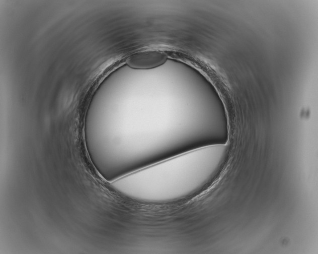 X0000096481313200801241138