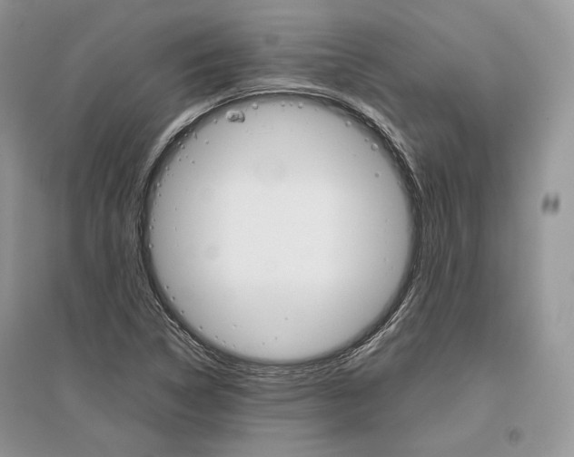 X0000096481314200801241138