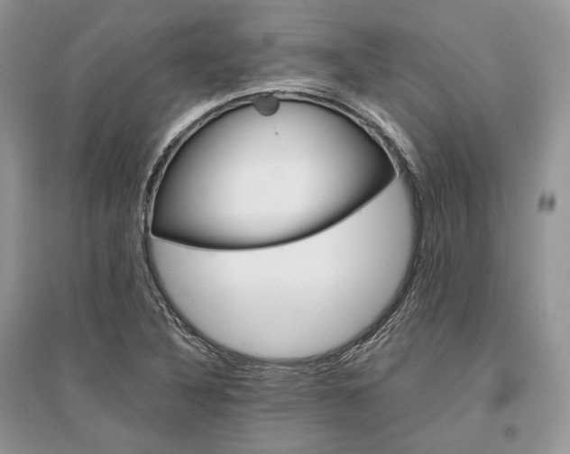 X0000096481316200801241138