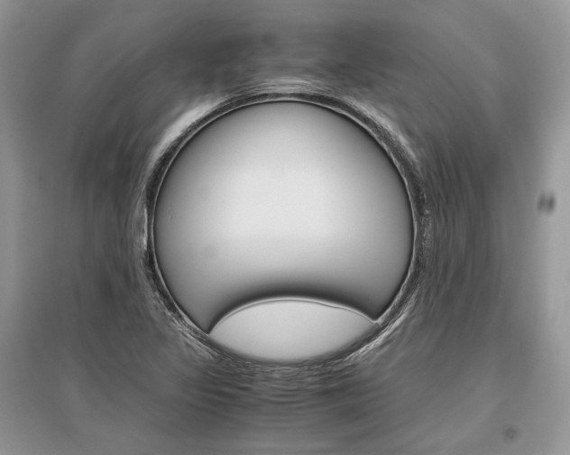 X0000096481317200801241138