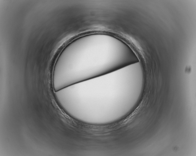 X0000096481318200801241138