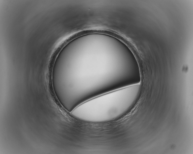 X0000096481319200801241138