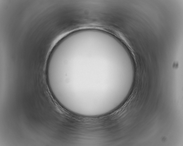 X0000096481320200801241138