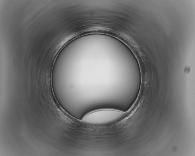 X0000096481321200801241138