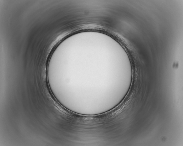 X0000096481322200801241138